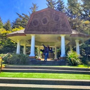 Hello! All about your seller: